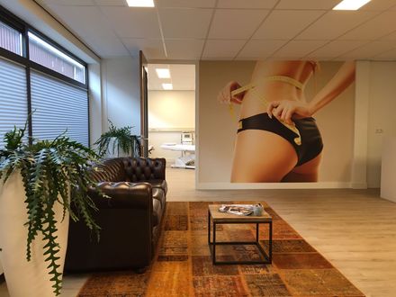 Ems bekkenbodemspier trainer tegen urineverlies