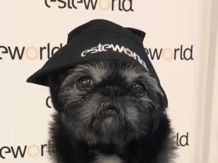 Diessel (mascotte Kantoor Benelux)